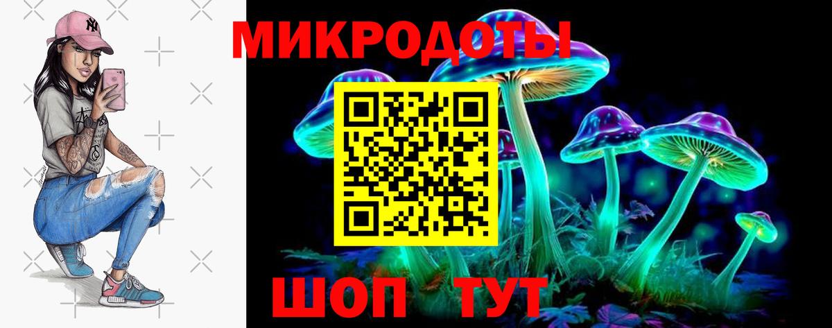 Зима  Галлюциногенные грибы мухоморы  Вход с VPN 